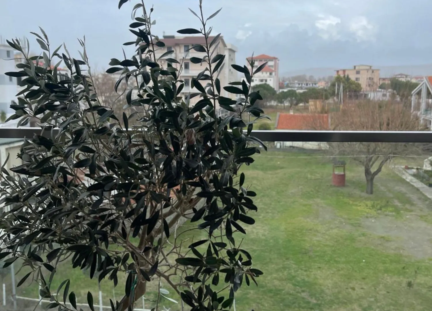 Olivea Apartments Velipojë